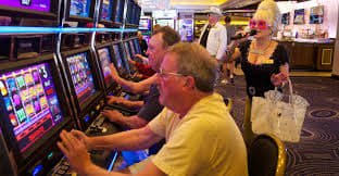 Dashboard riwayat taruhan dan hasil Live Draw di winbet